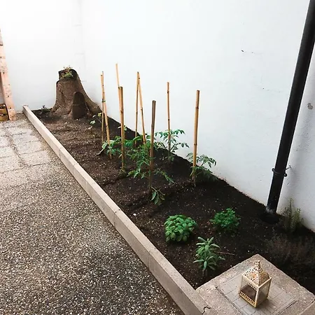 Semesterbostad La Casetta *